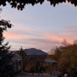 Meet your Posher, Declan